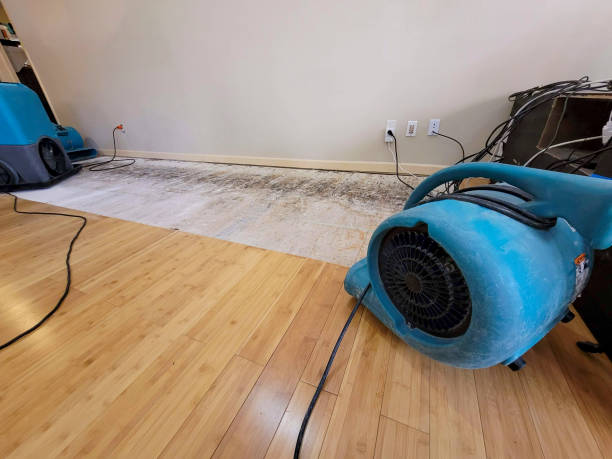 Professional Basement Flood Cleanup technician working in Afton, TN